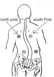 Bio_Magnetic Therapy Back Diagram