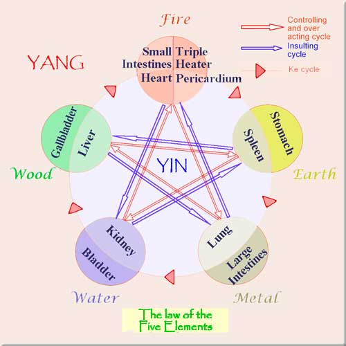 The Law of the Five Elements