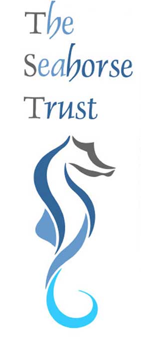 The seahorse Trust Logo