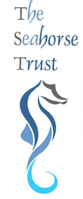 Seahorse Trust Logo